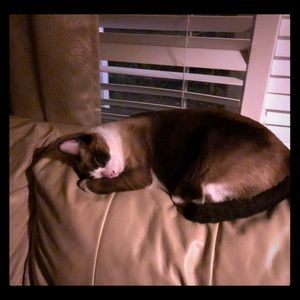 Meet your Posher, Anna